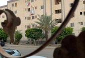 شقه للبيع الحى 3 مجاورة ثانية عمارات تعاونيات الدور الارضي