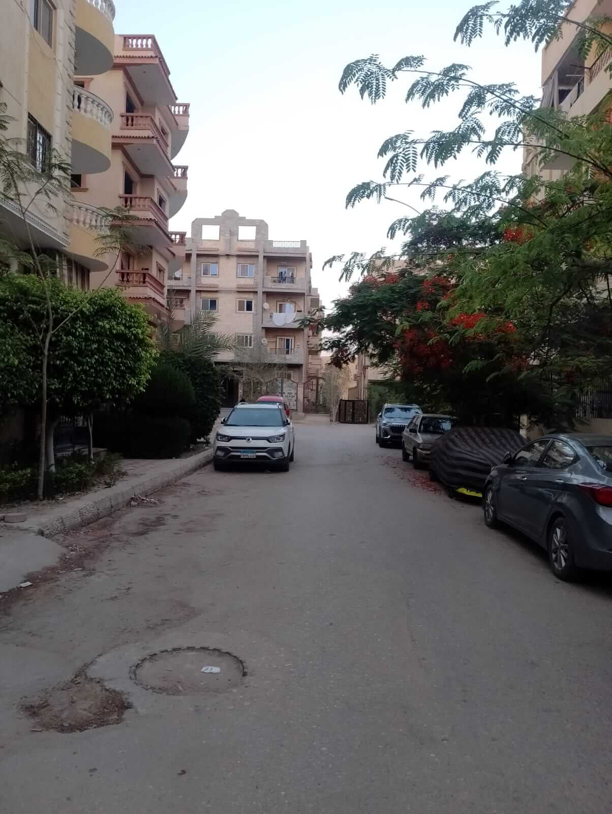 شقه للبيع اهالي فـ الحي 11 المجاوره الاولى منطقة الفلل