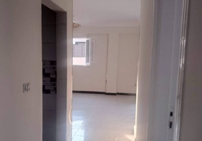 عقارات الشيخ زايد  