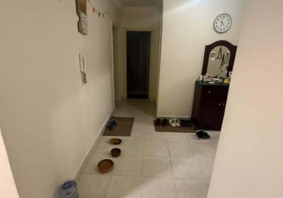 عقارات الشيخ زايد  