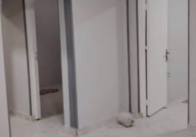 عقارات الشيخ زايد  